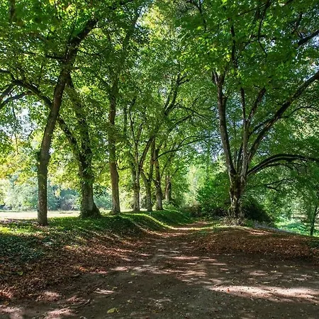 Chouette La Valette *