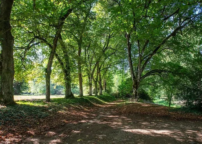 Chouette La Valette *